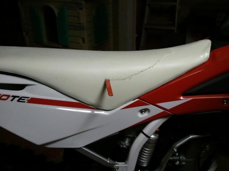 2011-03-31191400.jpg