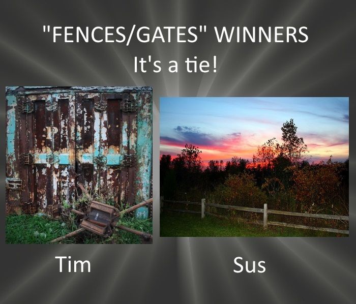  photo FENCES GATES WINNERS_zpsmudgmybj.jpg