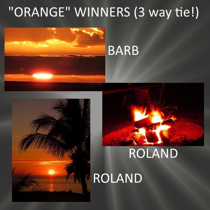  photo ORANGEWINNERS_zpshs9ypyfi.jpg