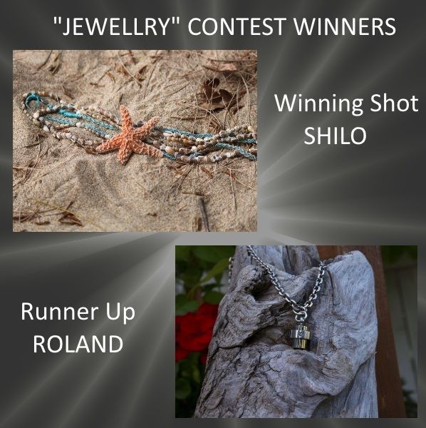  photo jewellry winners_zpsehoygsaa.jpg