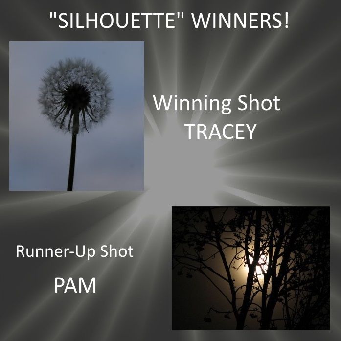  photo silhouette winners2_zpssfp6dwbb.jpg