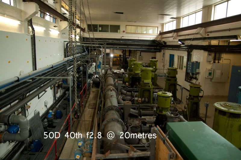 IMAGE: http://img.photobucket.com/albums/v146/hbomb69/50Dpixeltr-332test-3.jpg