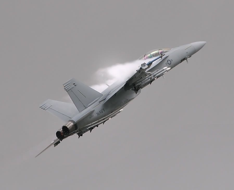 http://img.photobucket.com/albums/v147/AEROMEDIA/RIAT%202010/RIAT10SatFA18F.jpg