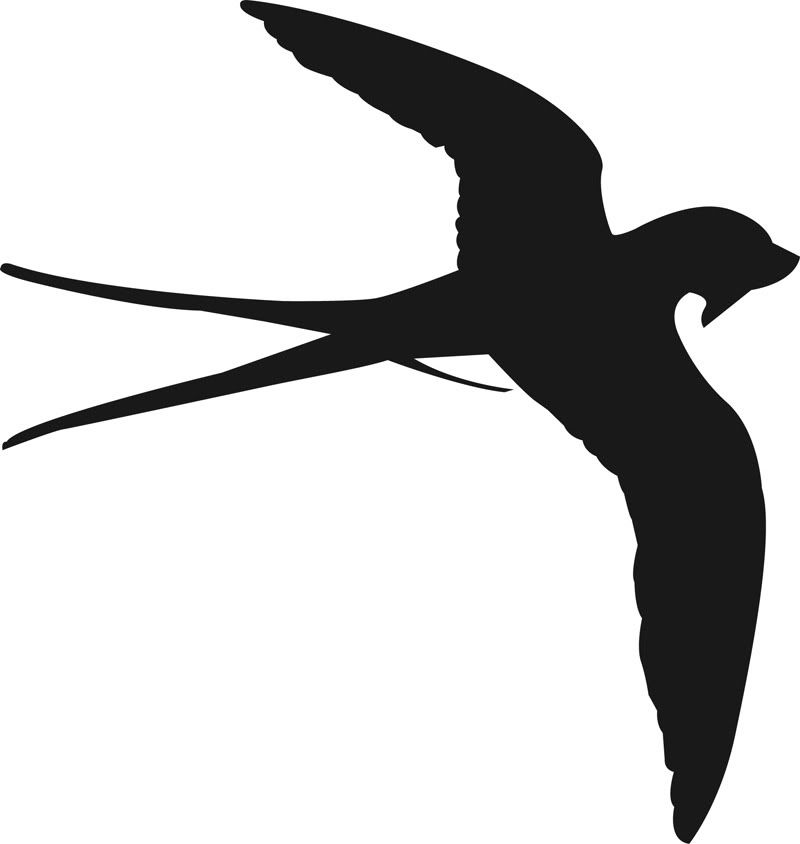 If you are into diy I created a stencil of a swallow that would look cute 