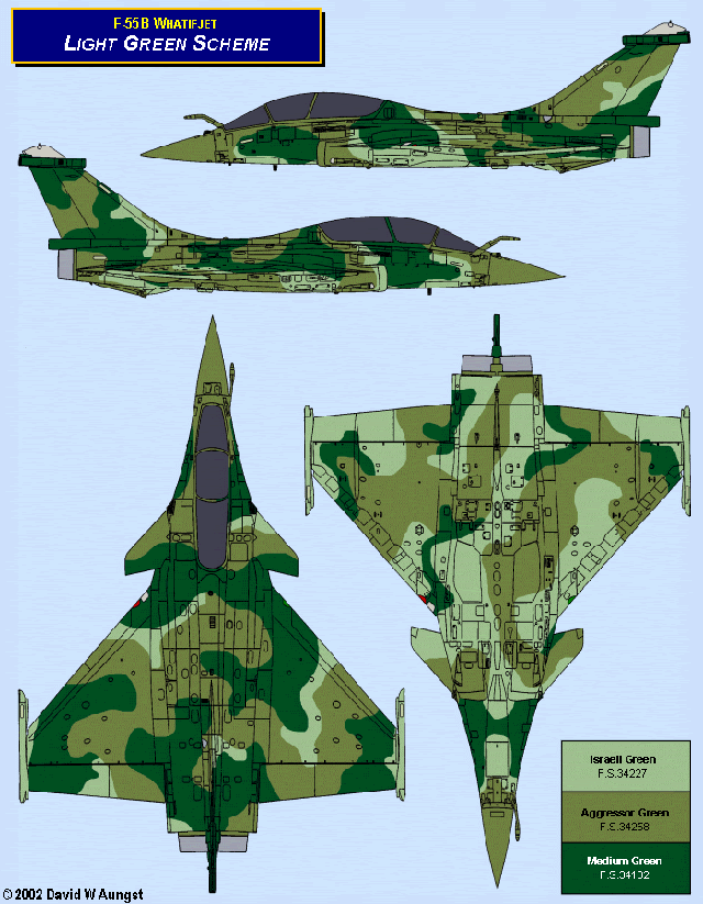 Rafale-B_Camo-GreenLight.gif