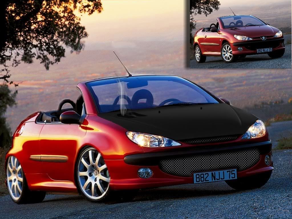 peugeot 206cc simulacrum