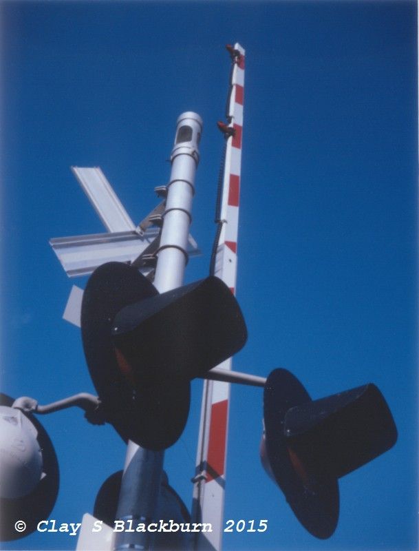 IMAGE: http://img.photobucket.com/albums/v147/tunamelt/POTN%20Canon%2005/PolaScan_0002.jpg