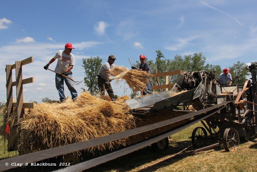 IMAGE: http://img.photobucket.com/albums/v147/tunamelt/POTN%20Canon/Tractor103.jpg