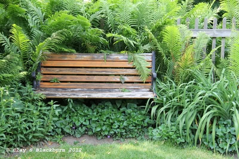 IMAGE: http://img.photobucket.com/albums/v147/tunamelt/POTN%20Canon/image007.jpg