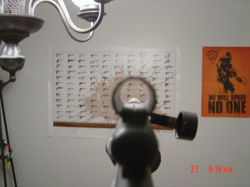 Posted Image