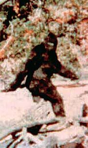 sasquatch.jpg