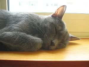 Image hosted by Photobucket.com