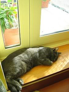 Image hosted by Photobucket.com