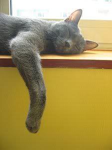 Image hosted by Photobucket.com