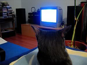 Image hosted by Photobucket.com