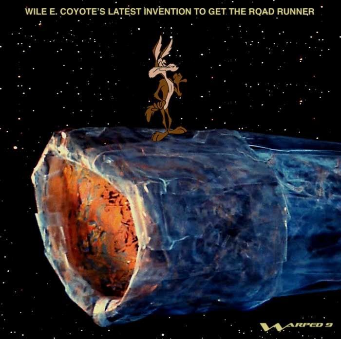 WECoyote.jpg
