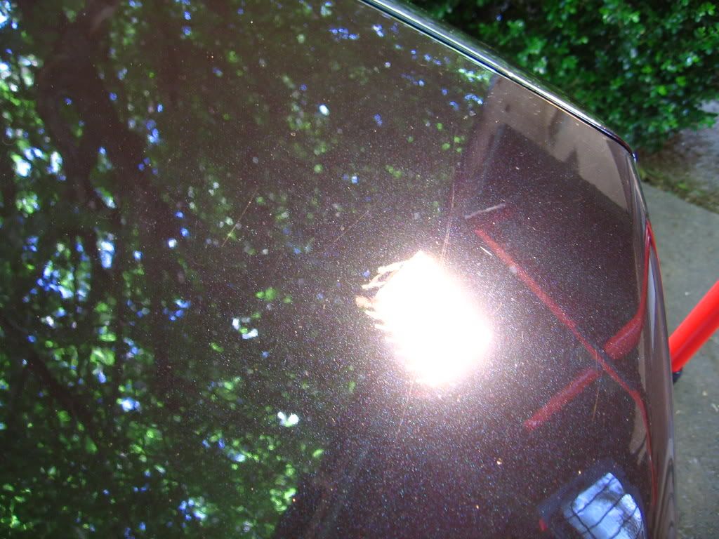 Posted Image