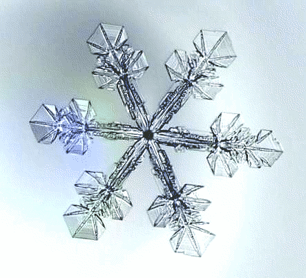 Snowflake tattoo image by titila on Photobucket