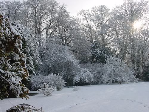 Littlecote Garden