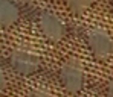 ccbb_eu_01_amp.jpg