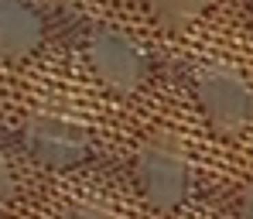 ccbb_us_01_amp.jpg