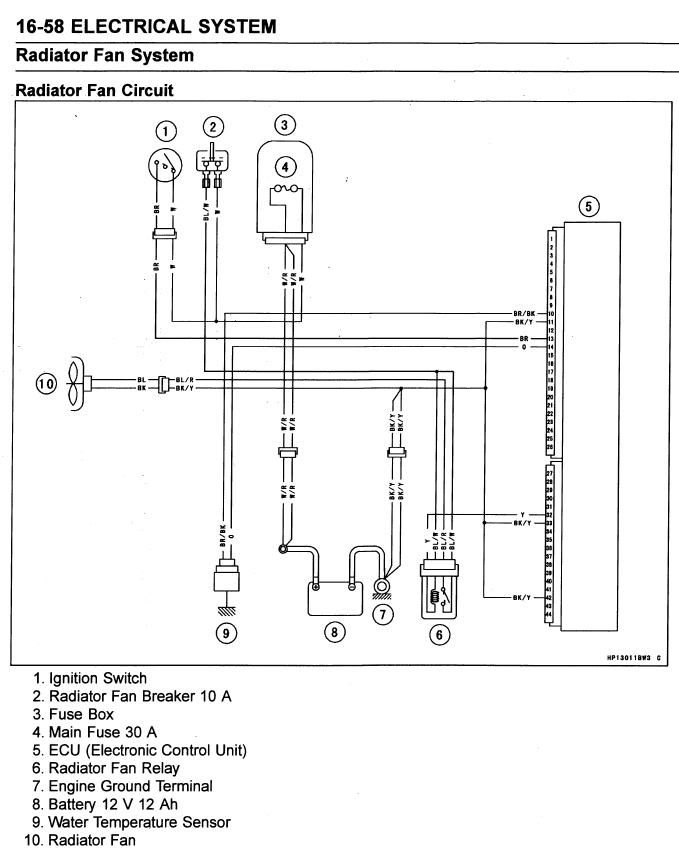 Wiring Diagram Database  Kawasaki Brute Force 750 Wiring
