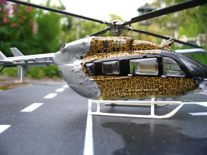 Leopard3.jpg