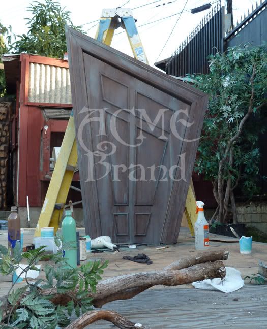 backyard.jpg