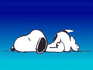 Snoopysleep.jpg