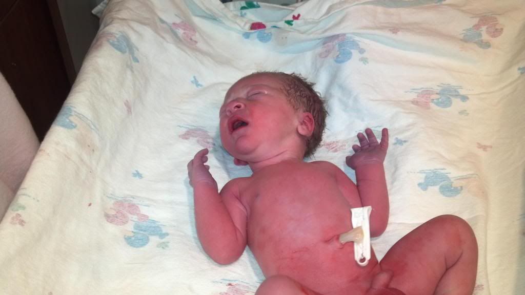 We welcomed a New Kid into our family yesterday.... - Goats