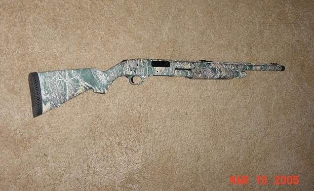 shotgun31005.jpg