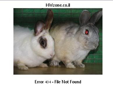 wabbit.jpg