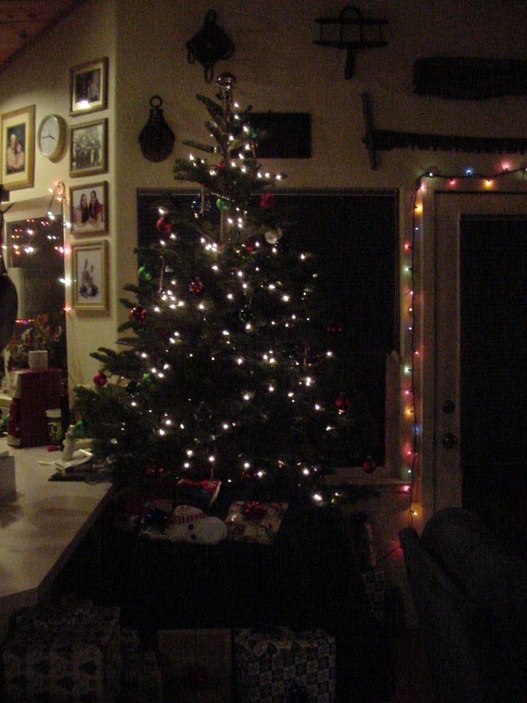 Christmastree2010.jpg