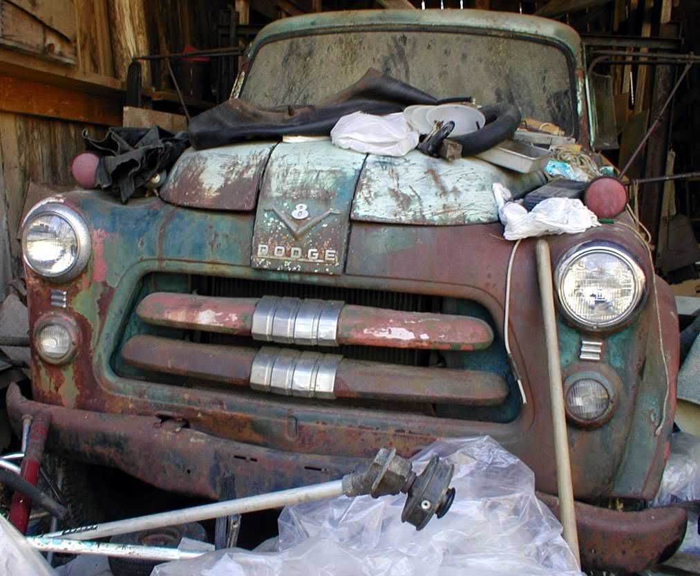 1954dodgefronttruck.jpg