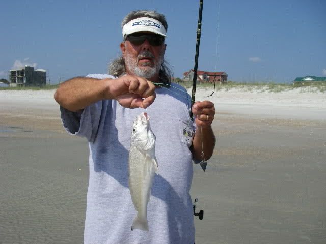 florida whiting