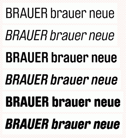 Brauer Neue