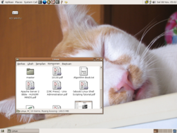 screenshot of my GNOME Desktop