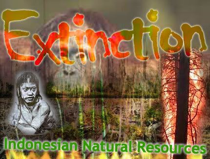 Facing Indonesian Natural Resources Extinction?