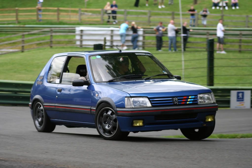 [Image: BazatPugfest.jpg]