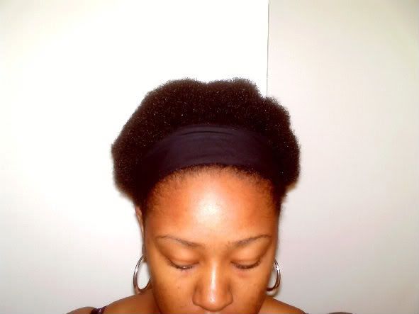 Fro_front.jpg