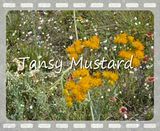 Pictures around your Homestead - Homesteading Questions