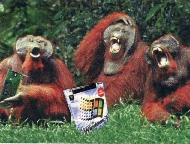 08monkeys.jpg