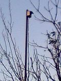 th_0179.jpg