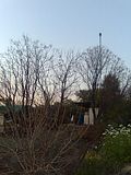 th_0180.jpg