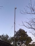 th_0185.jpg