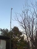 th_0186.jpg
