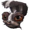 6.gif