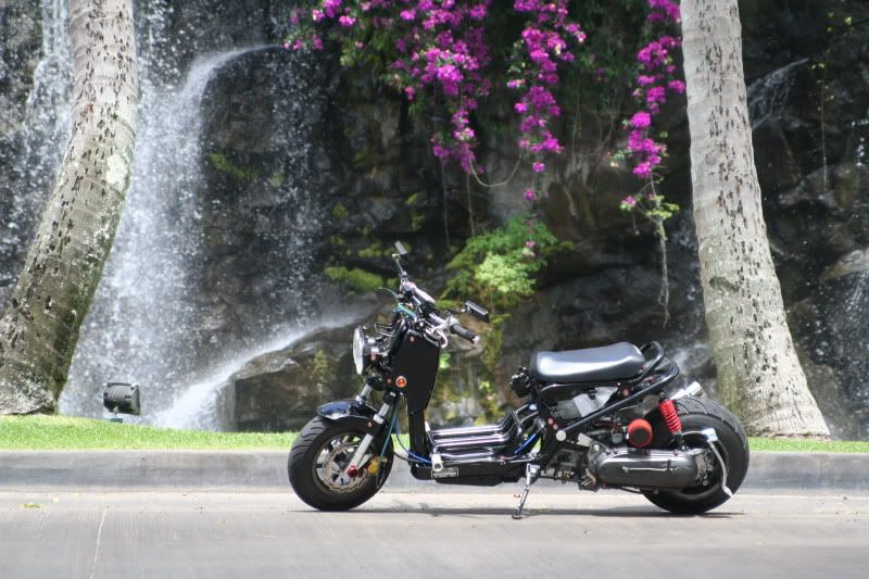 IMAGE: http://img.photobucket.com/albums/v156/rayz_garage/ruckus/IMG_0734.jpg