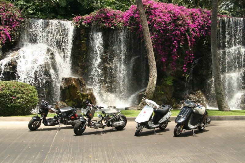 IMAGE: http://img.photobucket.com/albums/v156/rayz_garage/ruckus/IMG_0777.jpg