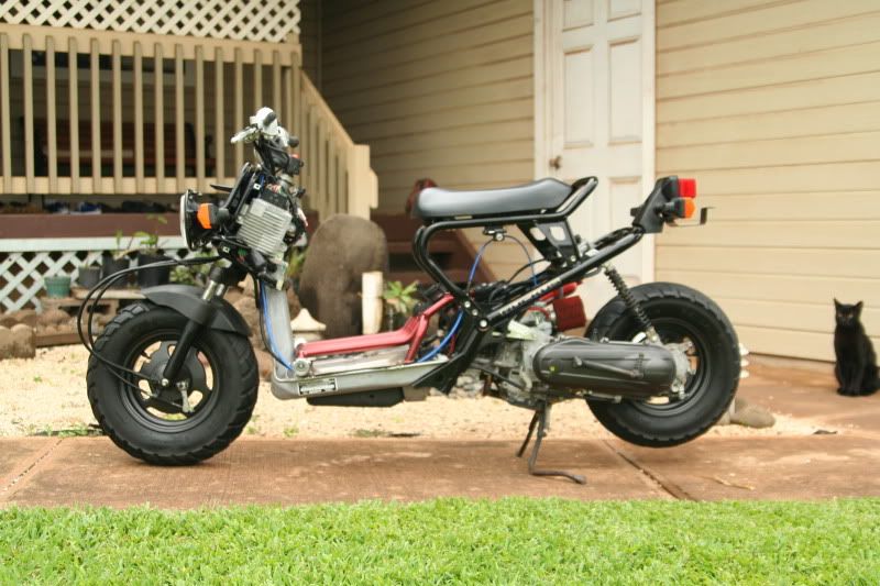 IMAGE: http://img.photobucket.com/albums/v156/rayz_garage/ruckus/IMG_9927.jpg
